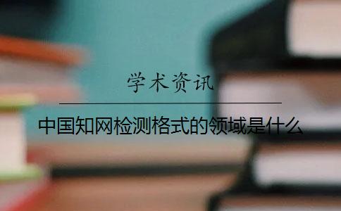 中國知網(wǎng)檢測格式的領(lǐng)域是什么？