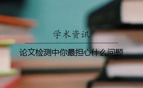 論文檢測中你最擔(dān)心什么問題？