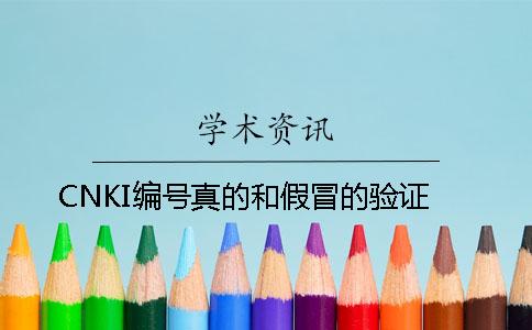 CNKI編號真的和假冒的驗證