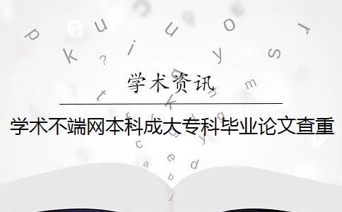 學(xué)術(shù)不端網(wǎng)本科成大?？飘厴I(yè)論文查重